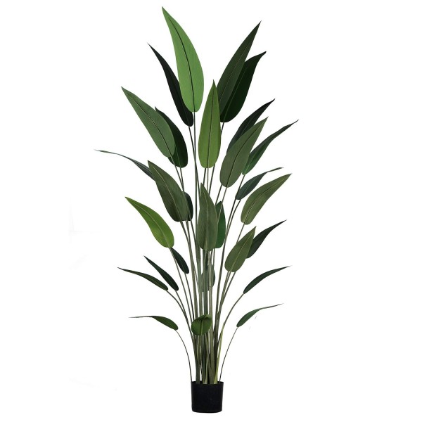 Ave del Paraíso Artificial 210 cm | Ukukhome 2