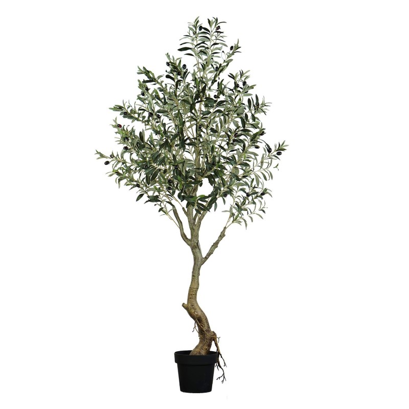 Olivo Artificial 175 cm | Ukukhome
