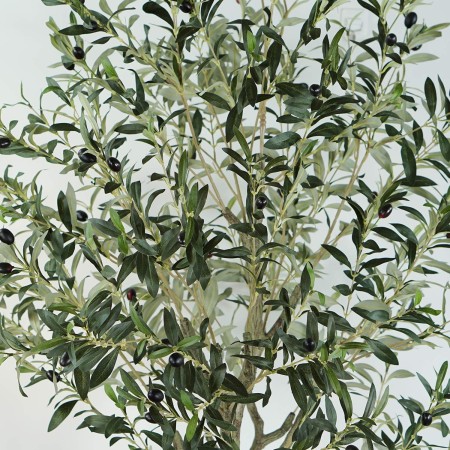 Olivo Artificial 175 cm | Ukukhome