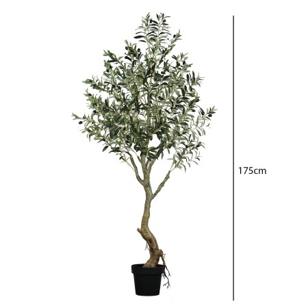 Olivo Artificial 175 cm | Ukukhome