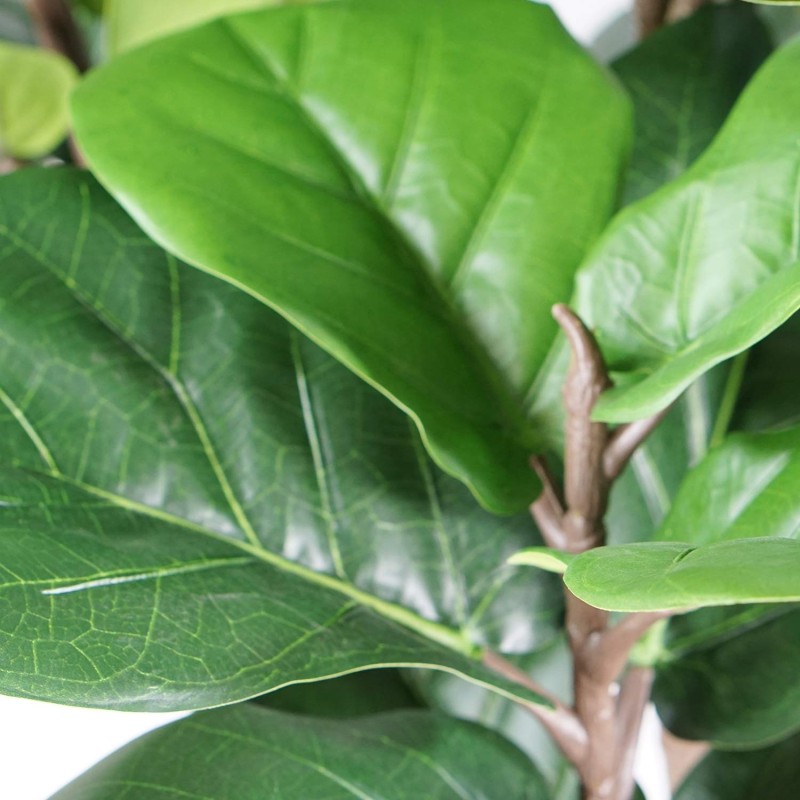 Ficus Artificial 150 cm | Ukukhome