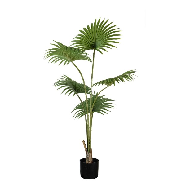 Planta Artificial 170 cm | Ukukhome 2