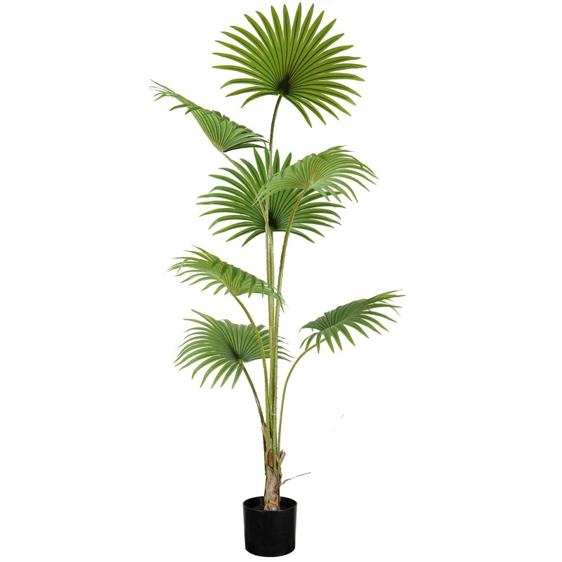 Planta Artificial 200 cm | Ukukhome