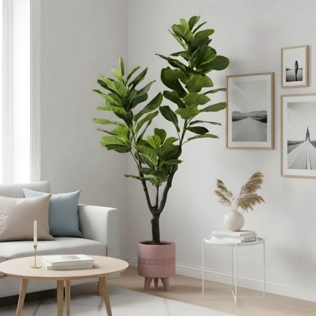 Ficus Artificial 180 cm | Ukukhome