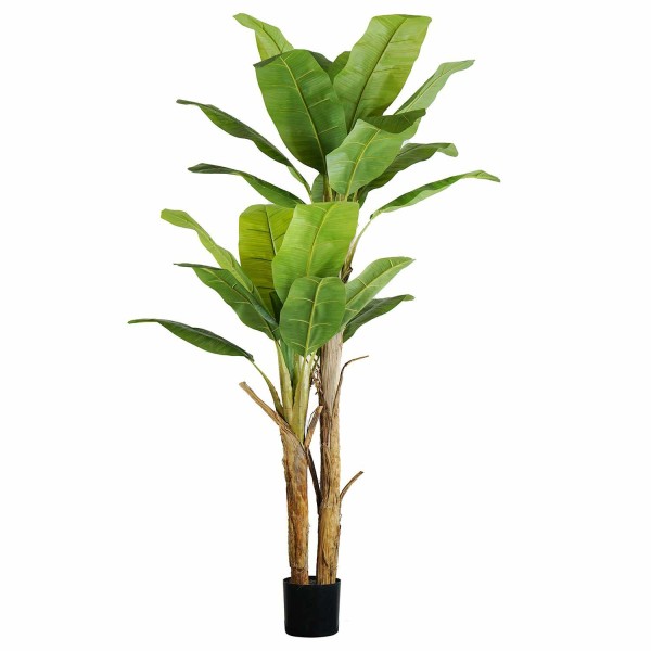 Planta Artificial 200 cm | Ukukhome 2