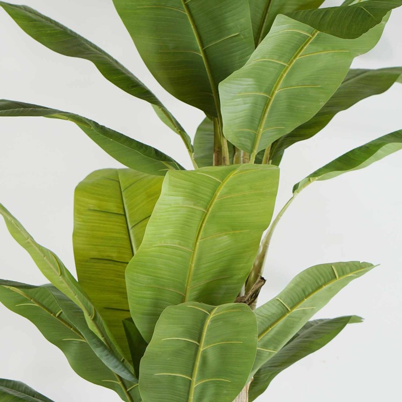 Planta Artificial 200 cm | Ukukhome