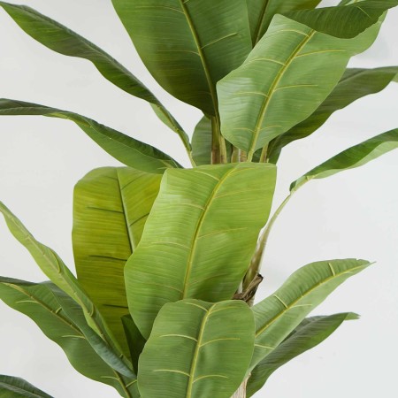 Planta Artificial 200 cm | Ukukhome