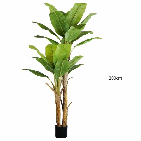 Planta Artificial 200 cm | Ukukhome
